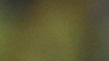 Argentina confirmó amistosos en EE.UU. ante Ecuador y Guatemala previos a la Copa América