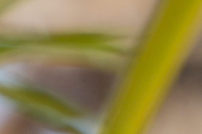 Marko (L) acostumbra a darle consejos al volante a Checo Pérez (R).