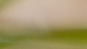 Marko (L) acostumbra a darle consejos al volante a Checo Pérez (R).