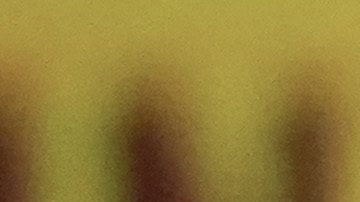 "Voy a acabar con él": Jake Paul lanzó fuerte provocación antes de enfrentarse a Mike Tyson