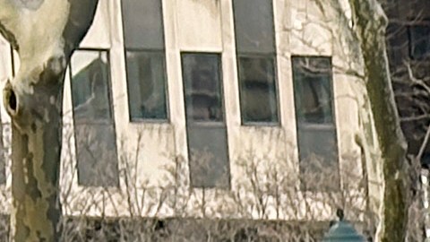 Los investigadores, los dos de Bronx Narcotics, fueron asignados a Browsville como parte de un programa de verano para reducir el crimen.