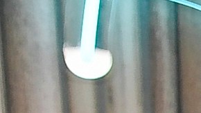 Conor McGregor, peleador irlandés de UFC.