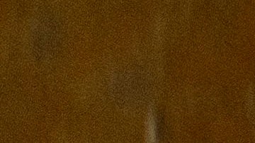 Kennedy es conocido por ser una figura controvertida y la "oveja negra" de la familia Kennedy.