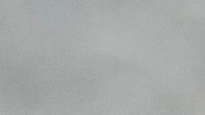 La mujer murió por las heridas causadas durante la persecución, aunque todavía no se ha dado a conocer si murió por los disparos o por el accidente de tránsito.