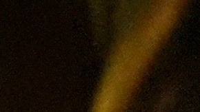 Trump dio un importante espaldarazo a Johnson, quien fue duramente criticado por la republicana de extrema derecha.