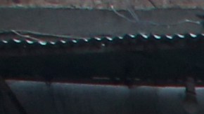 El Gobierno interino de los talibanes rebajó el número de fallecidos por el momento a 153 en varias provincias.