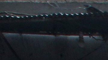 El Gobierno interino de los talibanes rebajó el número de fallecidos por el momento a 153 en varias provincias.