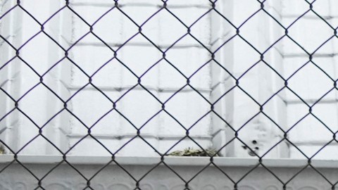 HRW documentó presuntas violaciones a DD.HH. en Ecuador; el gobierno de Daniel Noboa las rechaza
