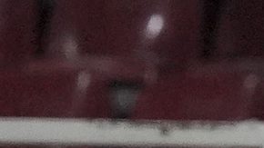 Los jugadores del América Alejandro Zendejas y Julian Quinones celebran un gol durante un partido de la CONCACAF Champions Cup.