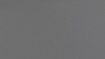 Para fortuna de todos los presentes, el mapache fue rescatado sano y salvo.