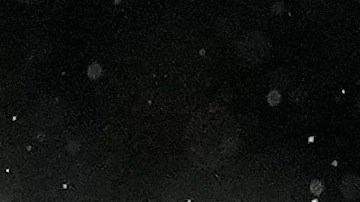 Keylor Navas durante el final de un partido del PSG.