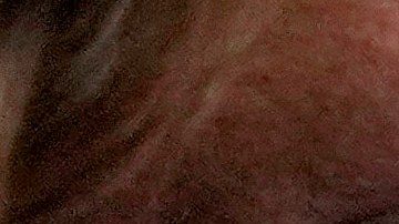 Gobernador de Arizona