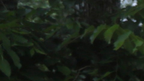 Un hombre saluda a los guardabosques del Departamento de Parques y Vida Silvestre de Texas cuando llegan en bote para rescatar a los residentes de las inundaciones en el condado de Liberty, Texas, el sábado 4 de mayo de 2024.