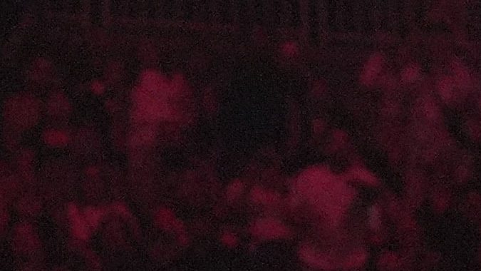 Canelo Álvarez - Jaime Munguía