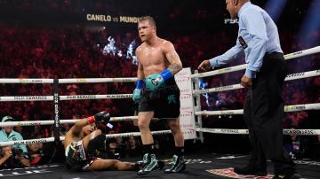 Canelo Álvarez derriba a Jaime Munguía durante la pelea entre ambos celebrado en Las Vegas.