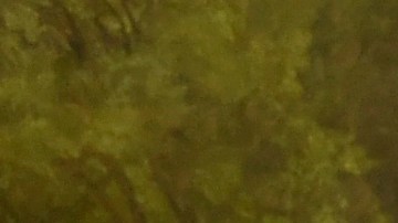 Rosalía vistió de Dior.