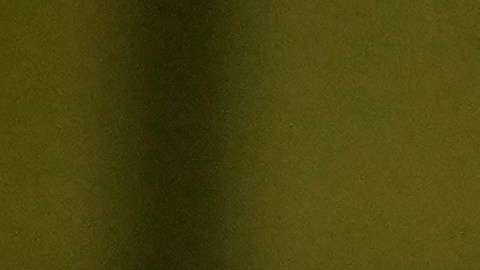 Congresista republicano propuso un juicio político contra Joe Biden por frenar envío de armas a Israel