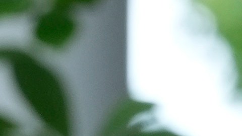 La prohibición firmada por Biden se suma a la impuesta contra la importación de petróleo ruso, tras la invasión de Rusia a Ucrania en febrero de 2022.