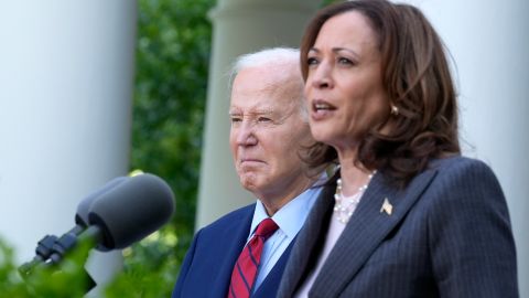 Kamala Harris cree que “trágico” ni siquiera puede describir ataque de Israel en campamento de Rafah