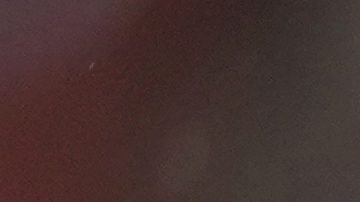 Scottie Scheffler, golfista estadounidense.