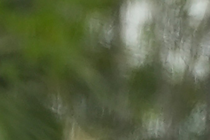 Barron Trump recibe su diploma durante su ceremonia de graduación en la Academia Oxbridge.