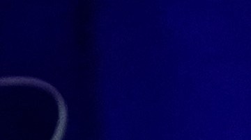 Michigan forma parte del "muro azul" de EE.UU. que incluye a Pensilvania y Wisconsin, que será determinante para la permanencia de Biden en la Casa Blanca.