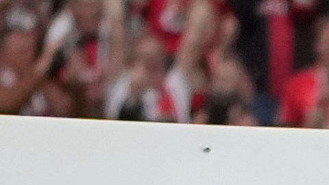 El Bayer Leverkusen ganó su primera Bundesliga de forma invicta.
