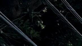 Severe Weather Texas