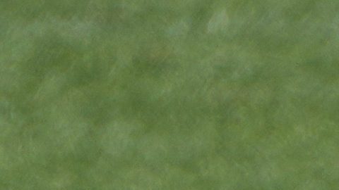 "Lo está haciendo todo": Aaron Rodgers entrena sin limitaciones con los New York Jets