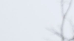 Un hombre clasifica los restos de una casa dañada por un tornado el martes 21 de mayo de 2024 en Greenfield, Iowa.