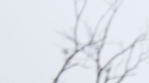 Un hombre clasifica los restos de una casa dañada por un tornado el martes 21 de mayo de 2024 en Greenfield, Iowa.