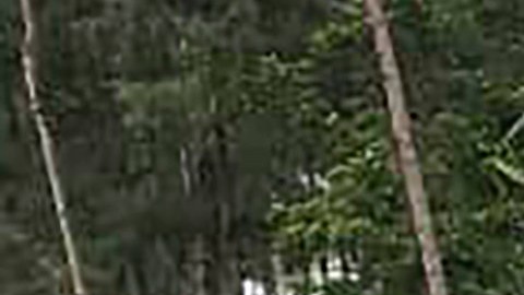 Papua New Guinea Landslide