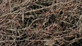 Connecticut School Shooting