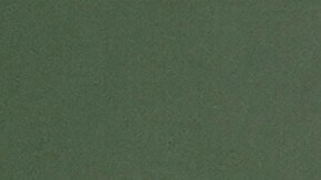 Aaron Rodgers reveló que rechazó la opción de ser compañero de fórmula de Robert F. Kennedy Jr. para quedarse en la NFL