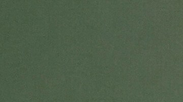 Aaron Rodgers reveló que rechazó la opción de ser compañero de fórmula de Robert F. Kennedy Jr. para quedarse en la NFL