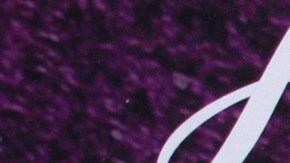 Alfredo Adame, actor mexicano.