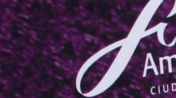 Alfredo Adame, actor mexicano.