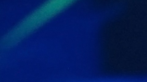 Angélica Vale, actriz y presentadora mexicana de televisión.