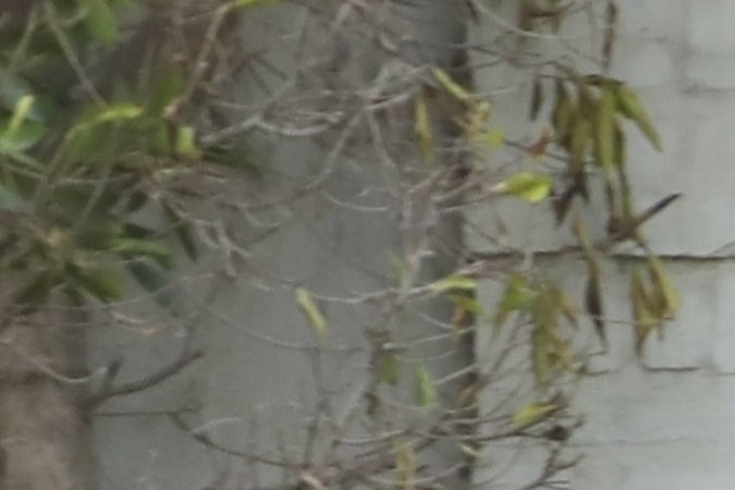 Ben Affleck recibió una pizzas en esta residencia de Brentwood.