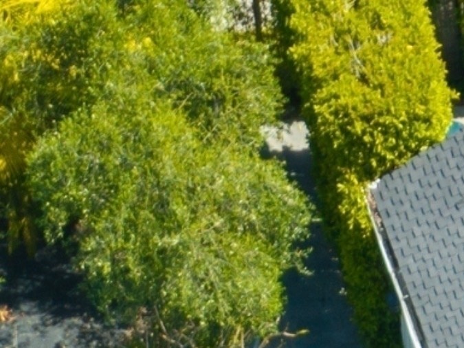 Cara Delevingne no estaba en la propiedad al momento del incendio.