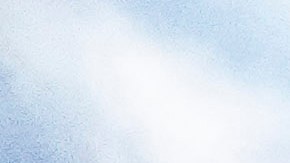 La Copa América 2024 comienza el 20 de junio y se jugará en Estados Unidos.