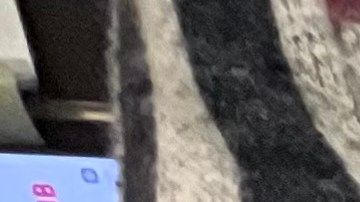 Latinos dependen de tarjetas de crédito