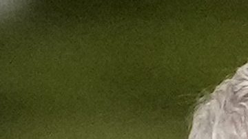 Seleccionador de Francia insinúa que Mbappé sí fichará por el Real Madrid