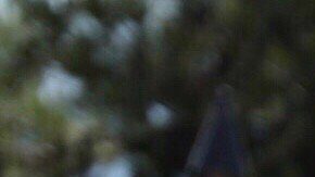 Britney Spears posando.