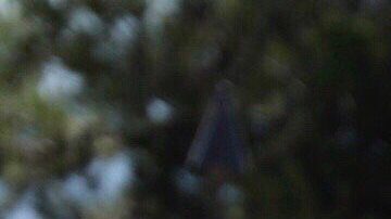 Britney Spears posando.
