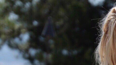 Britney Spears posando.