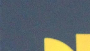 Don Omar, reguetonero puertorriqueño.