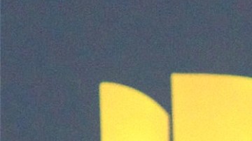 Don Omar, reguetonero puertorriqueño.