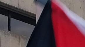 Estudiantes se manifiestan a favor Palestina en un campamento estudiantil.