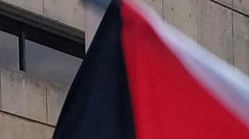 Estudiantes se manifiestan a favor Palestina en un campamento estudiantil.